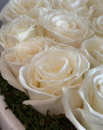 The Angel - 25 White Tibet Roses and Preserved Moss