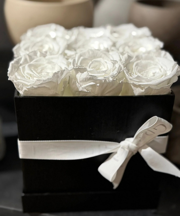 The Complimentary Box