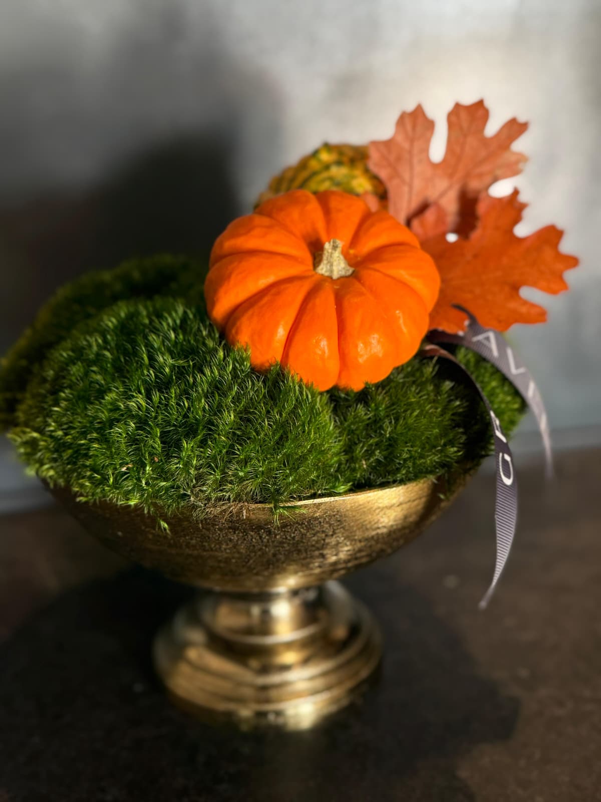 Autumn Moss