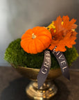 Autumn Moss