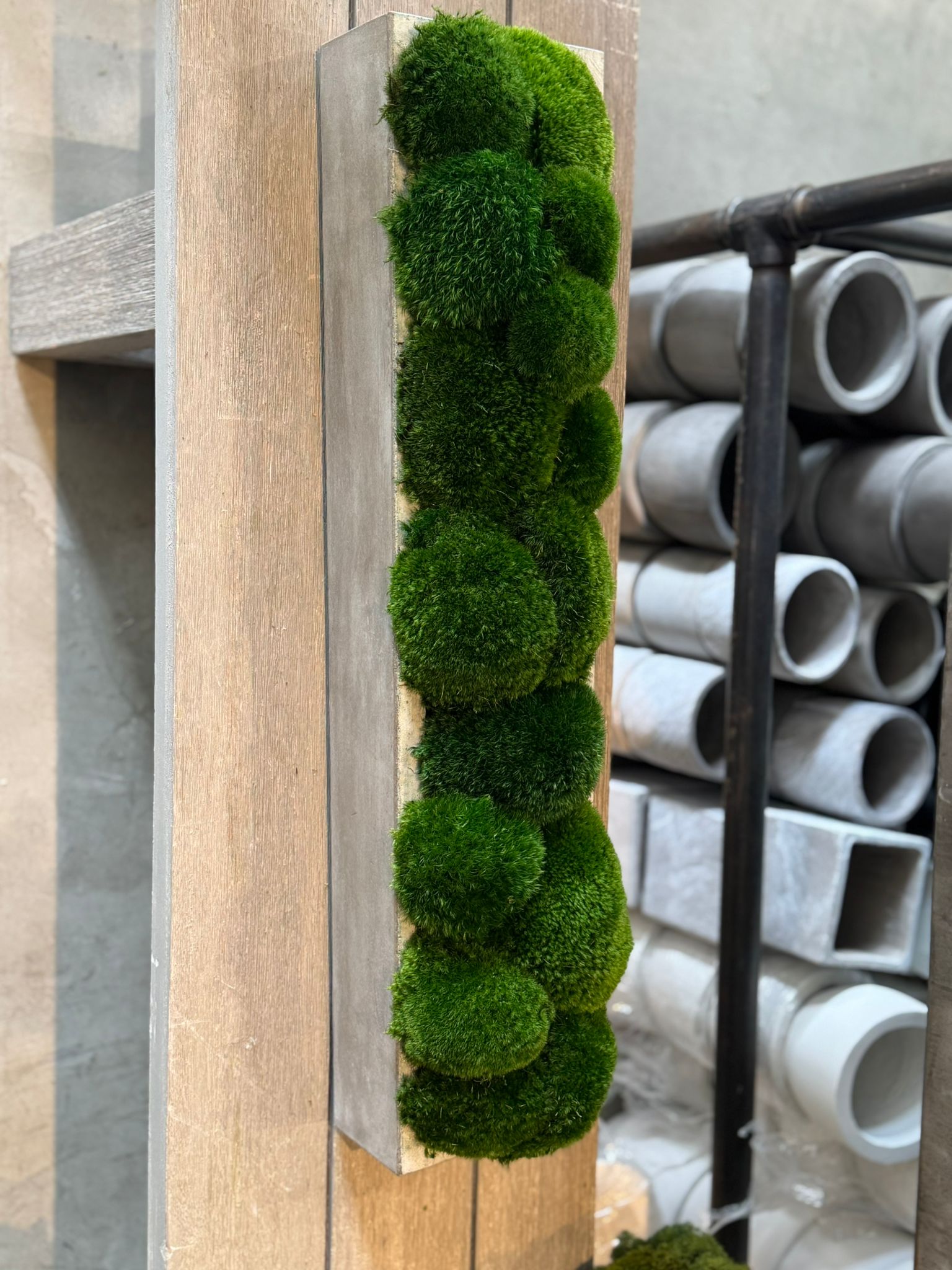 The Long Concrete Moss