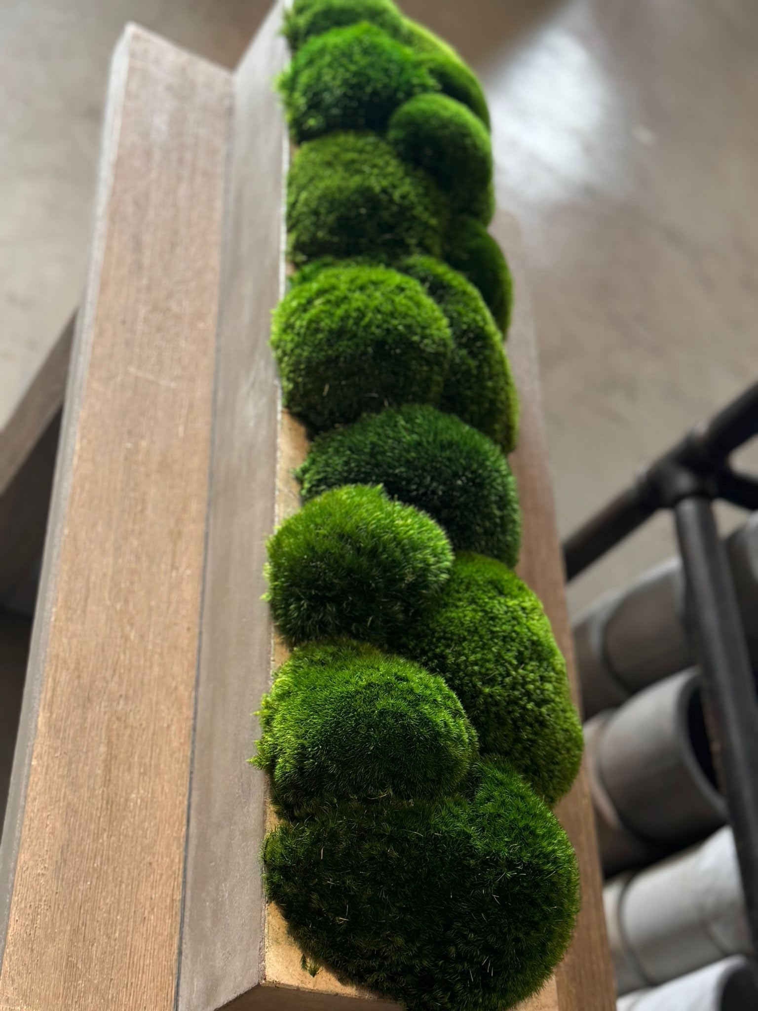 The Long Concrete Moss