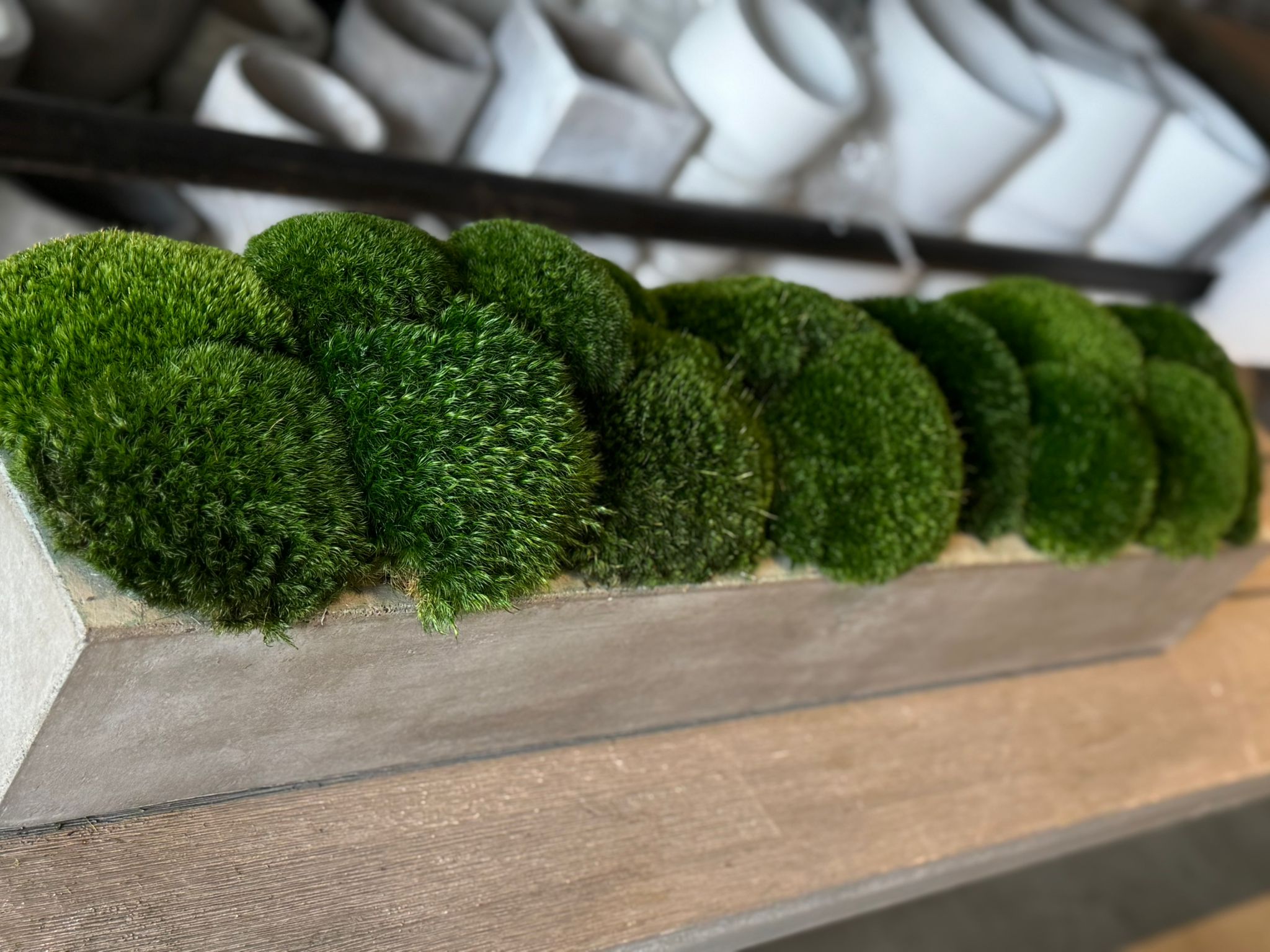 The Long Concrete Moss