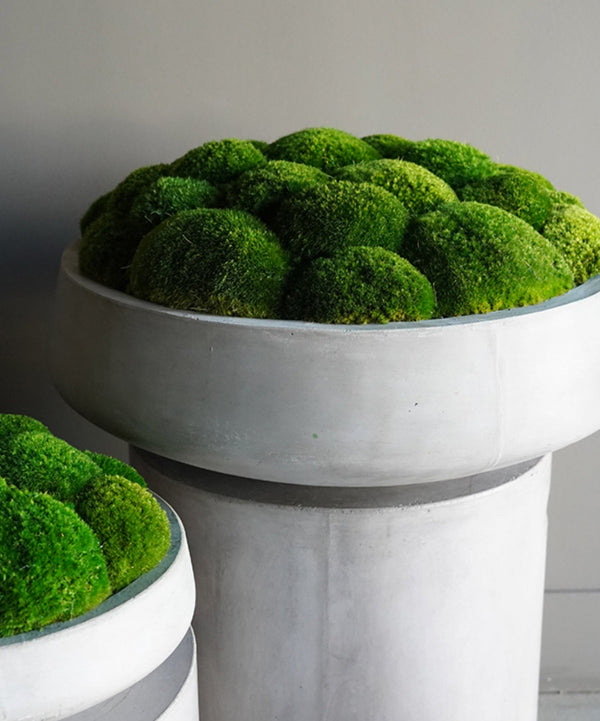 The Moss Low Bowl