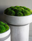 Preserved Moss Cement Low Bowl