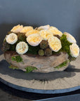 The Garden Rose Wood Log