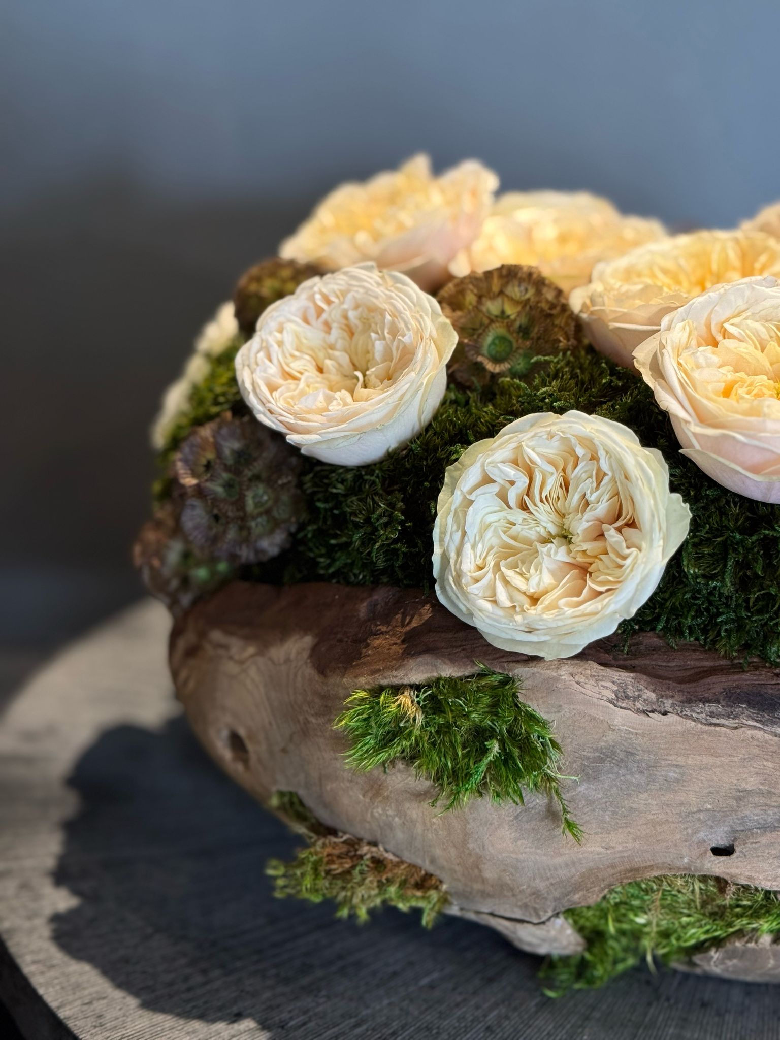 The Garden Rose Wood Log