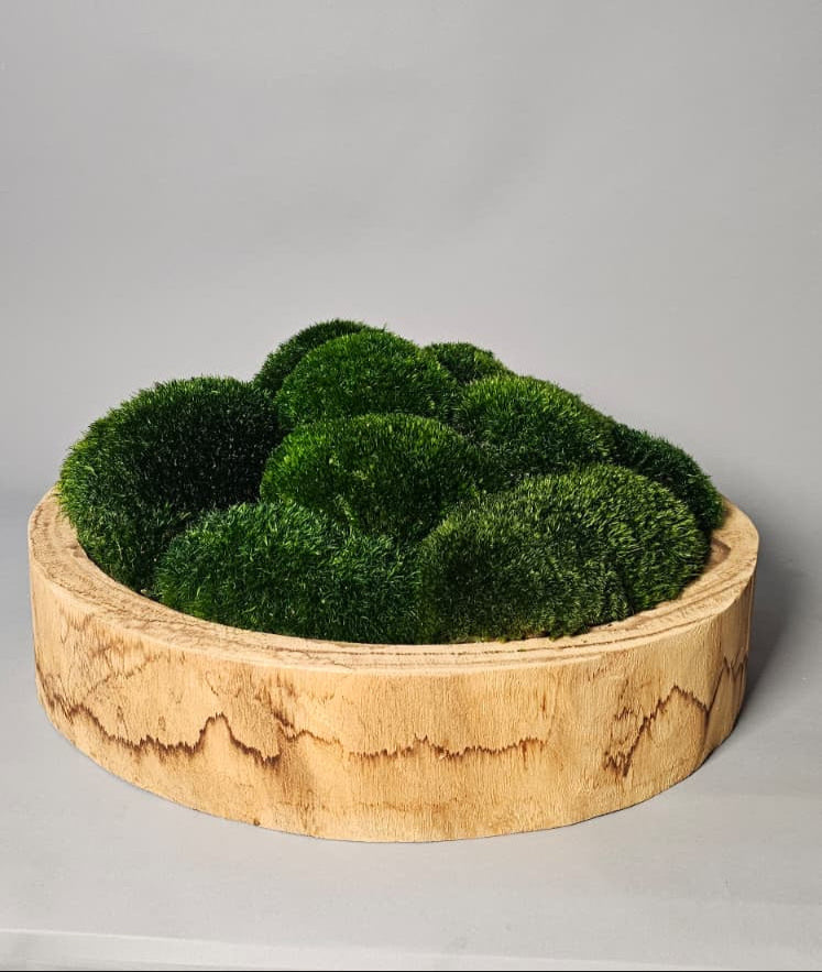 Refresh Moss & Customize Moss Arrangements