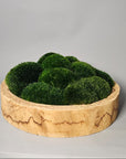 Refresh Moss & Customize Moss Arrangements