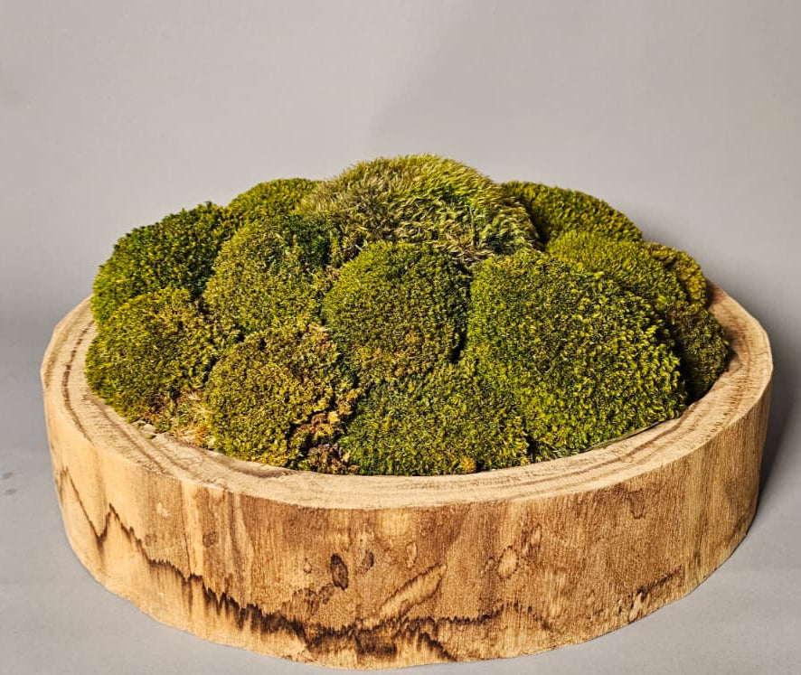 Refresh Moss & Customize Moss Arrangements