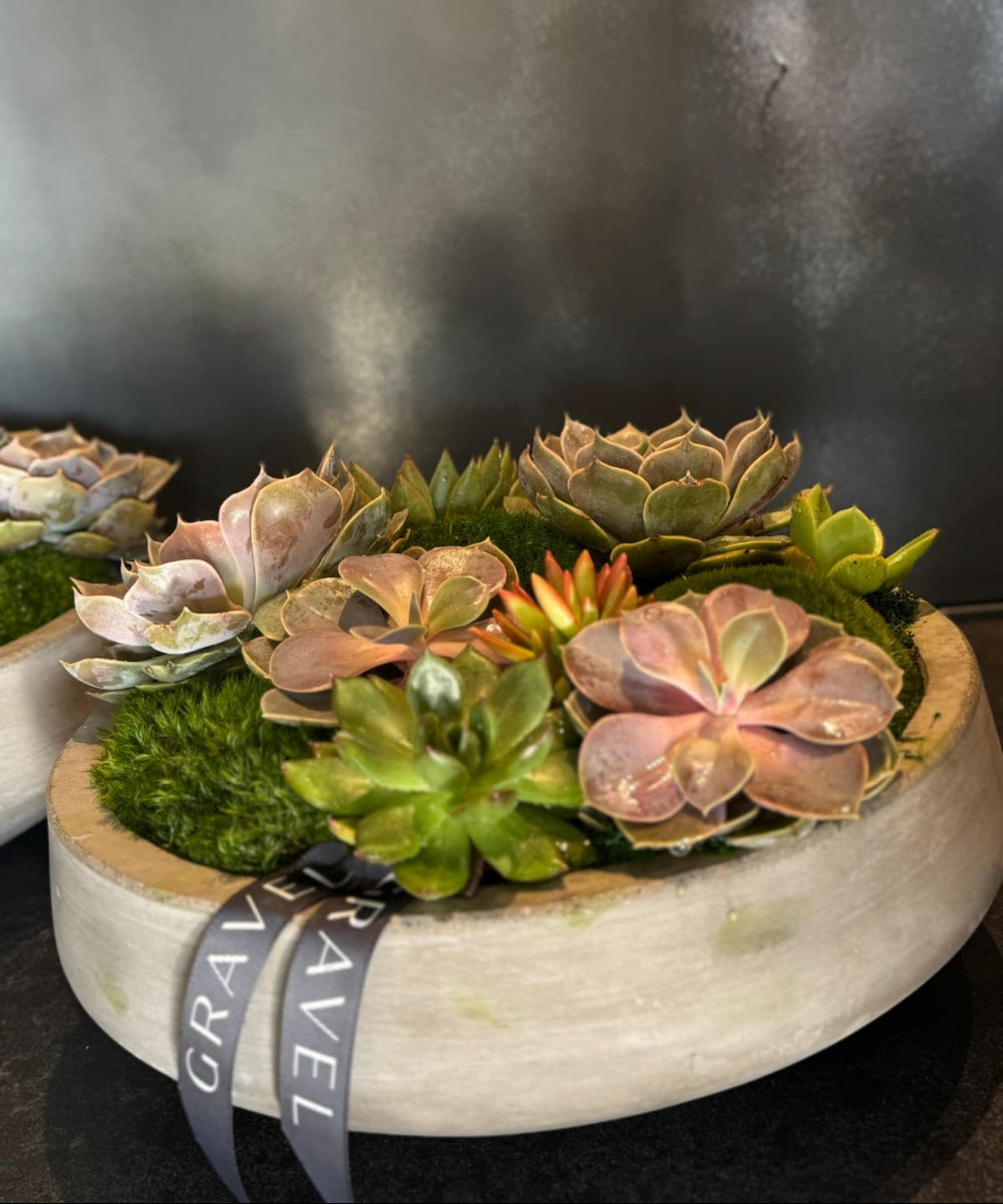 moss and succulent centerpieces The Duo