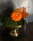 Autumn Moss