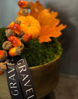 Autumn Classic Moss