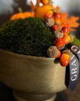 Autumn Classic Moss