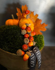 Autumn Classic Moss
