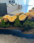 The Garden Rose Wood Log