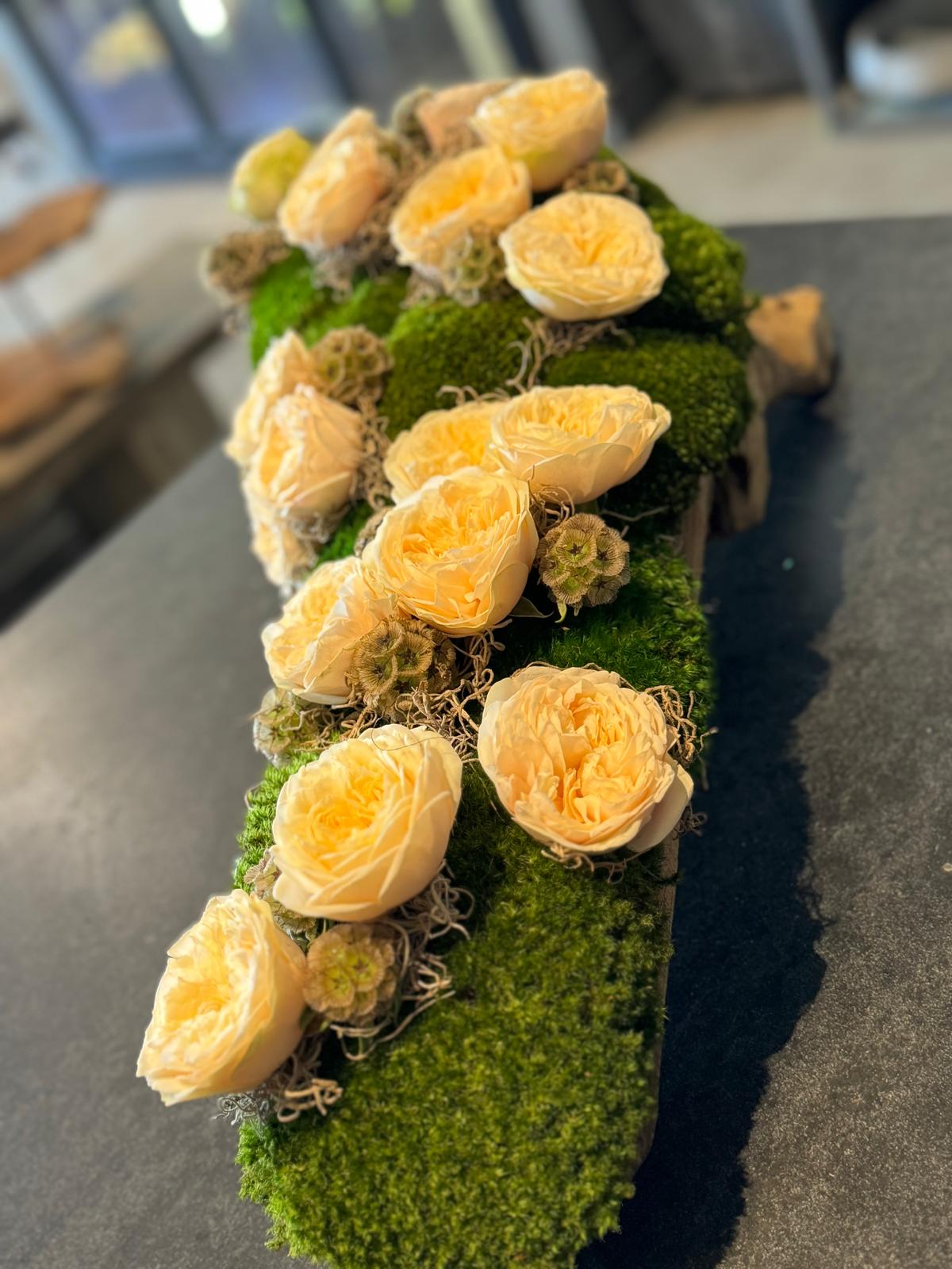 The Garden Rose Wood Log