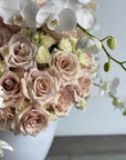 Blush Roses and White Orchids Floral Arrangement in White Newport