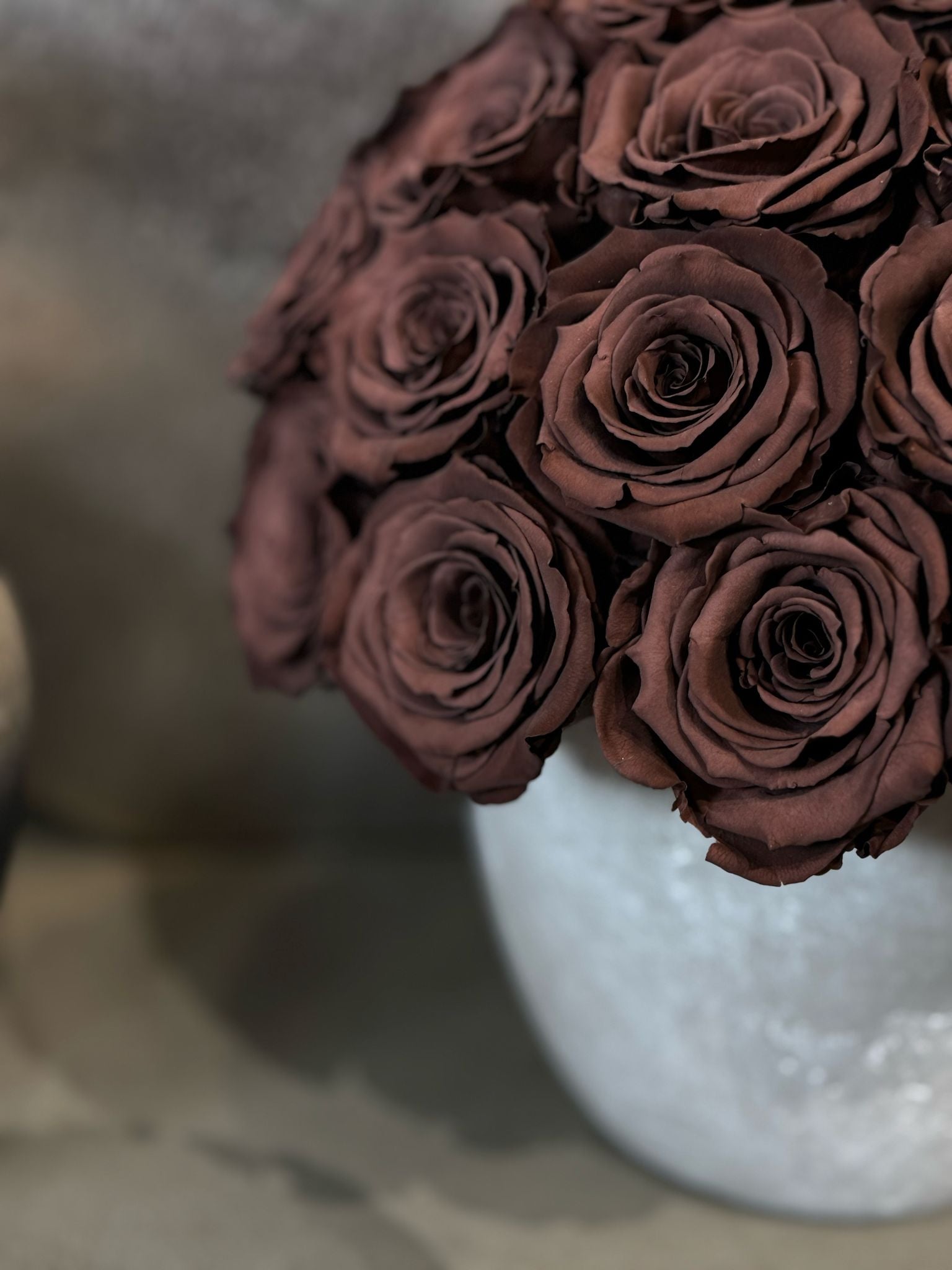 Brown Roses - Preserved Chocolate Roses in Grey Cement Pot