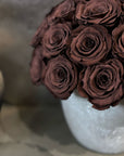 Brown Roses - Preserved Chocolate Roses in Grey Cement Pot