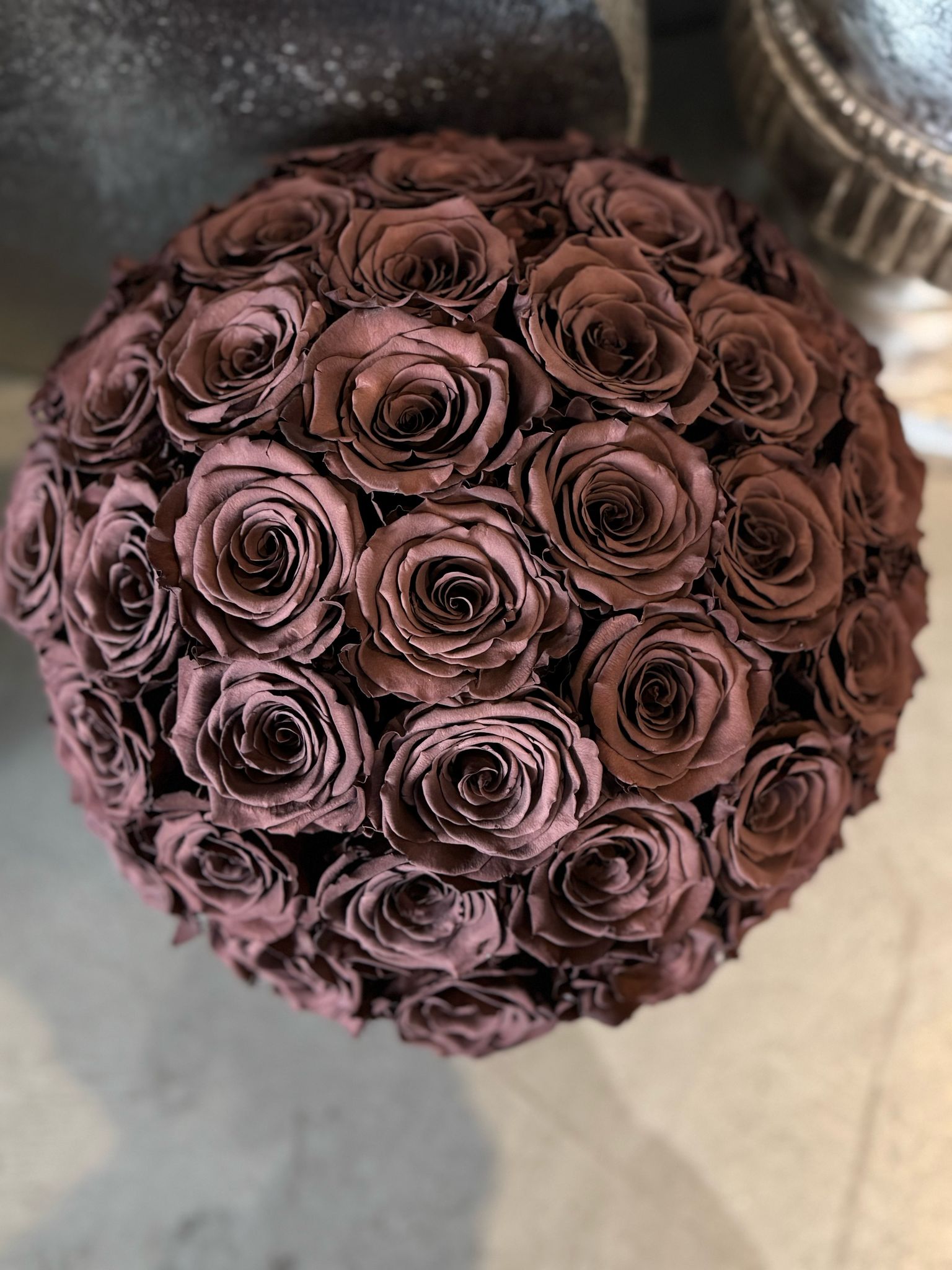Brown Roses - Preserved Chocolate Roses in Grey Cement Pot