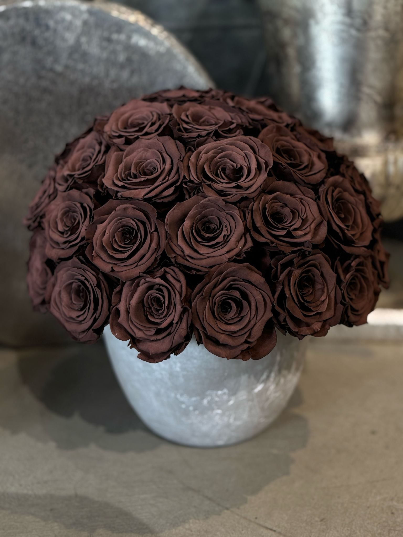 Brown Roses - Preserved Chocolate Roses in Grey Cement Pot