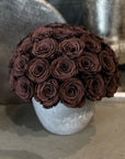 Brown Roses - Preserved Chocolate Roses in Grey Cement Pot