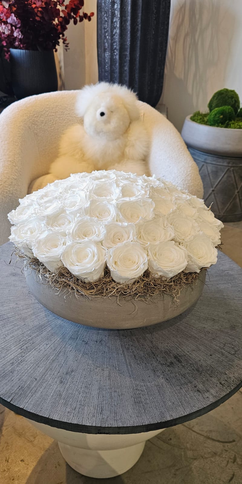 45 Preserved Roses in Grey Cement Newport 13"