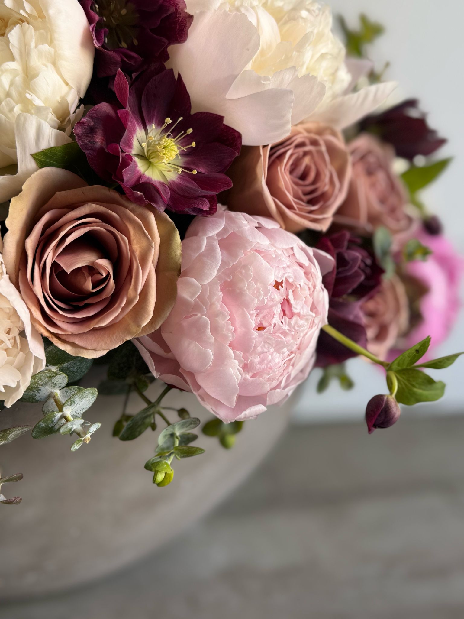 Pink Peonies, White Peonies, Pink Flowers, Purple Flowers