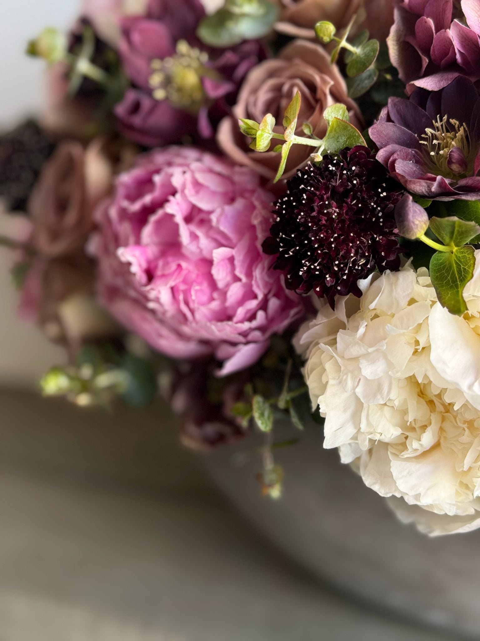 Pink Peonies, White Peonies, Pink Flowers, Purple Flowers