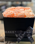 The Complimentary Box