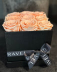 The Complimentary Box