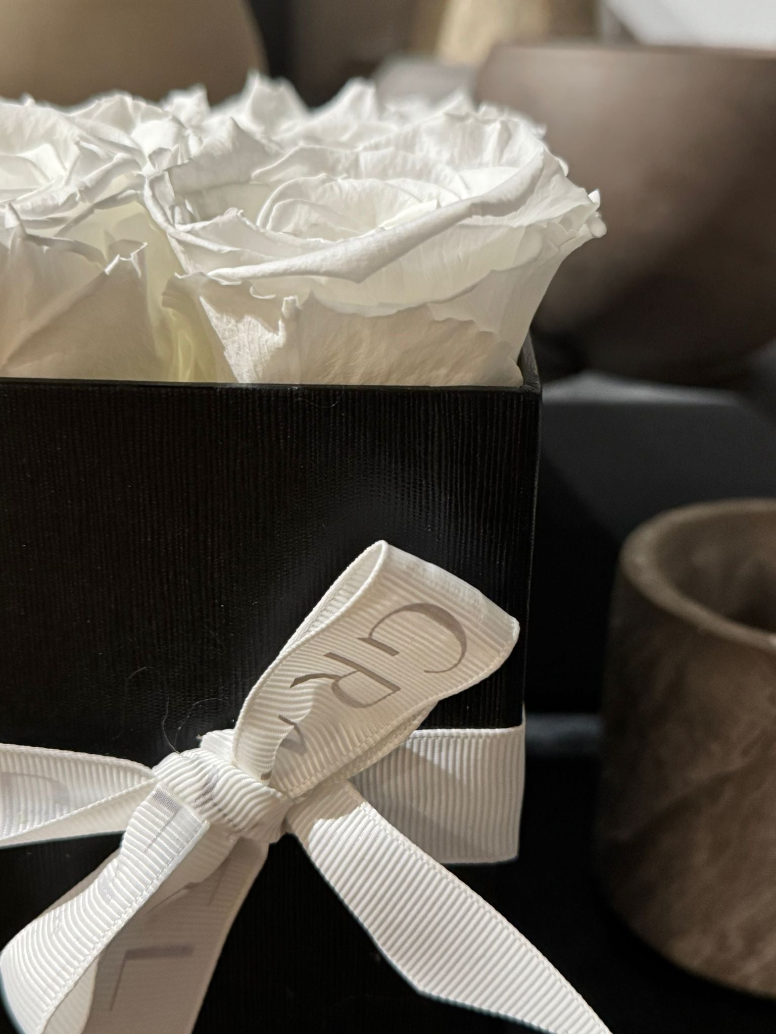 The Complimentary Box