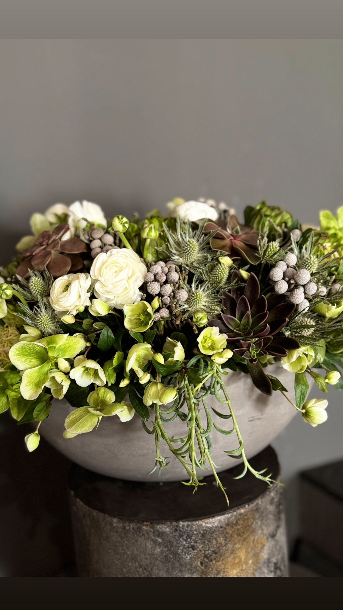 White Ranunculus - Luciana White Flowers and Succulents Floral Arrangement (Premium Size)