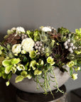 White Ranunculus - Luciana White Flowers and Succulents Floral Arrangement (Premium Size)