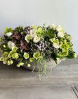 White Ranunculus - Luciana White Flowers and Succulents Floral Arrangement (Premium Size)