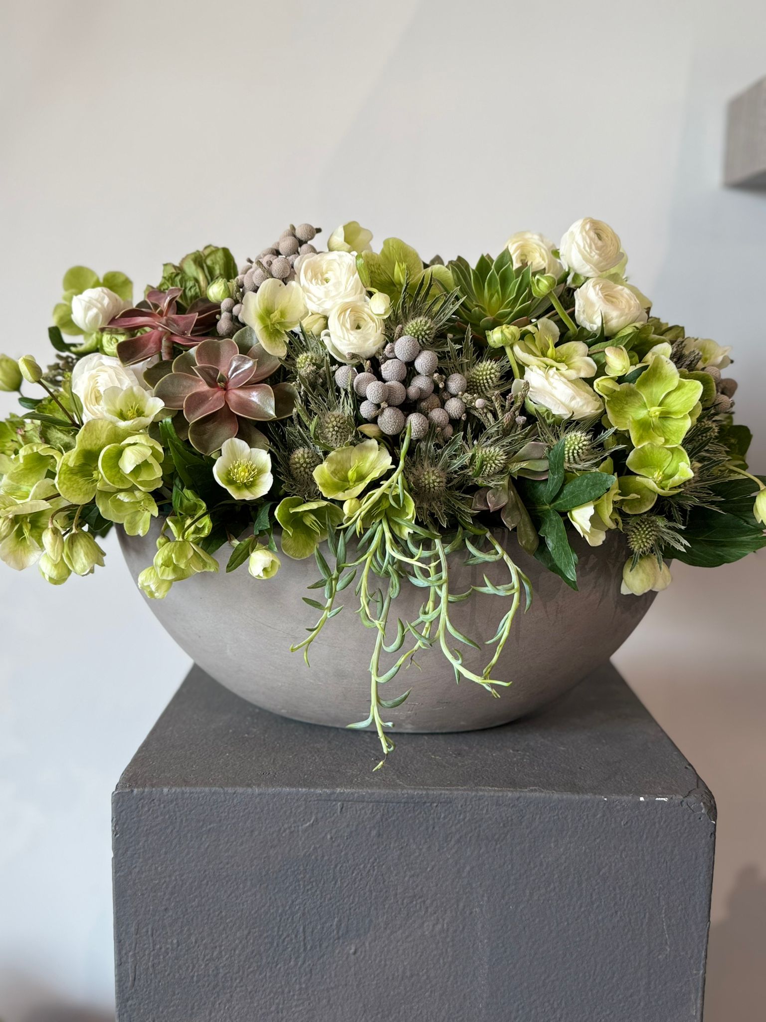 White Ranunculus - Luciana White Flowers and Succulents Floral Arrangement (Premium Size)