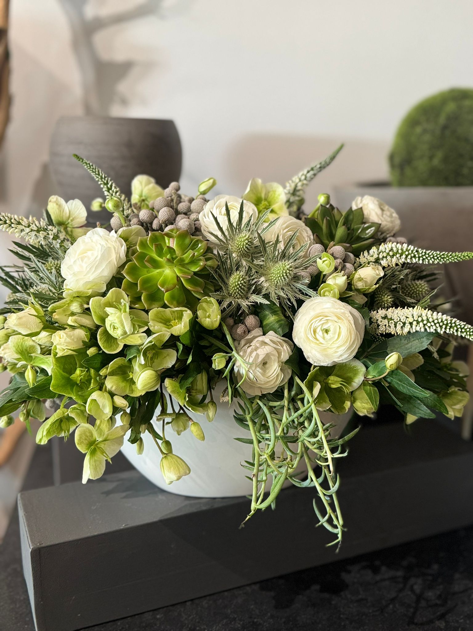 The Luciana - White Ranunculus and Succulents Classic Size