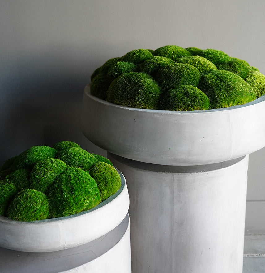 Preserved Moss Cement Low Bowl