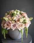 The Sahara -Glendale Florist