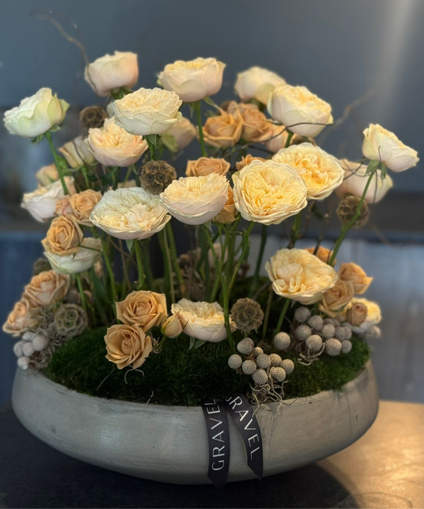 The Standing Garden Roses