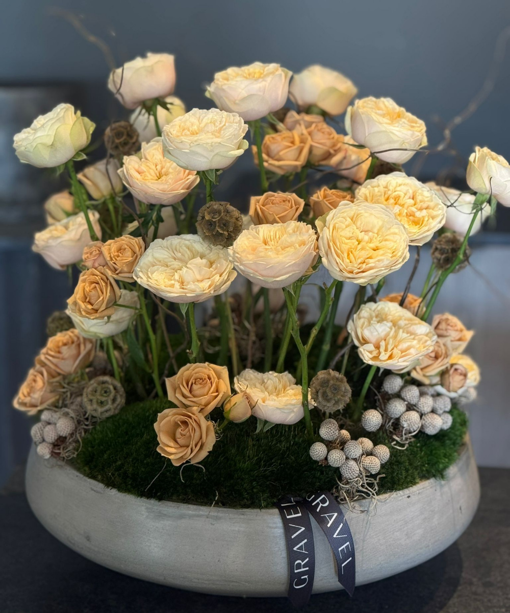 The Standing Garden Roses