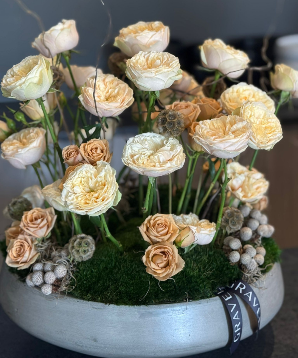 The Standing Garden Roses