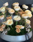 The Standing Garden Roses