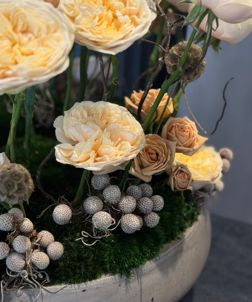 The Standing Garden Roses
