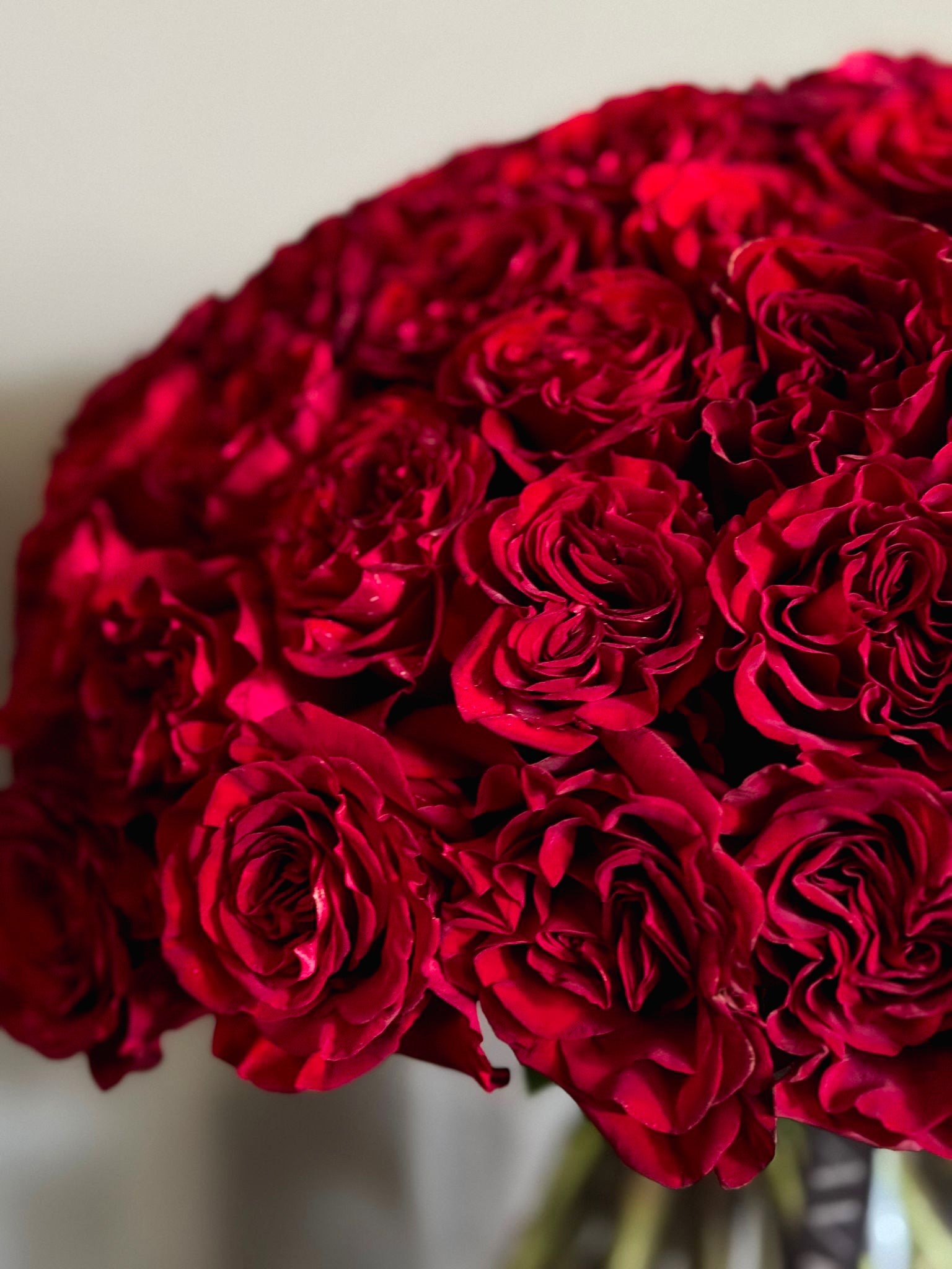 Red Roses Valentine's Day Bouquet - 75 Red Hearts Roses Hand Bouquet Close up