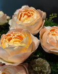 The Adeline - Peach Akito Garden Roses and Preserved Moss Flower Arrangement