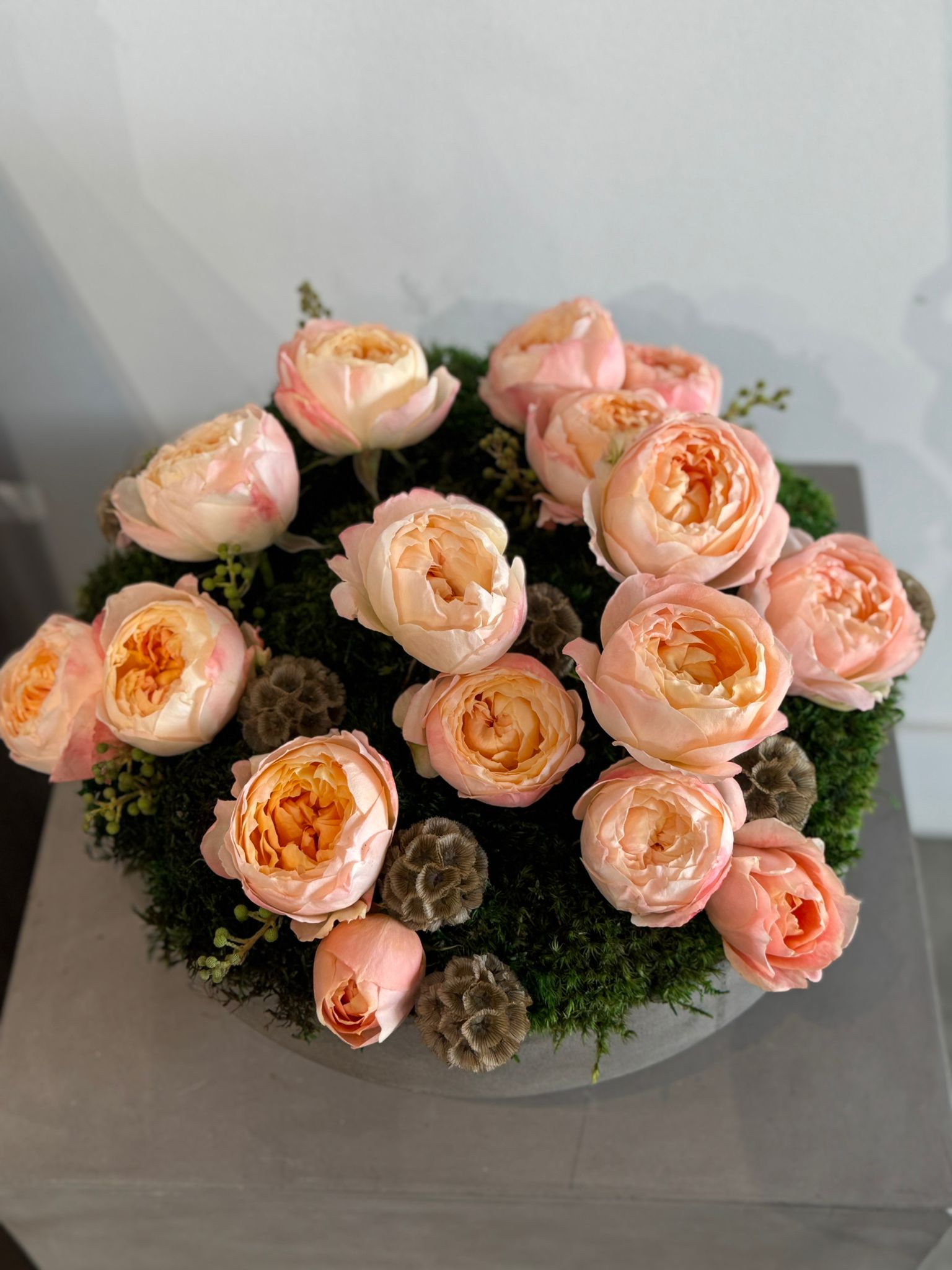 The Adeline - Peach Akito Garden Roses and Preserved Moss Flower Arrangement