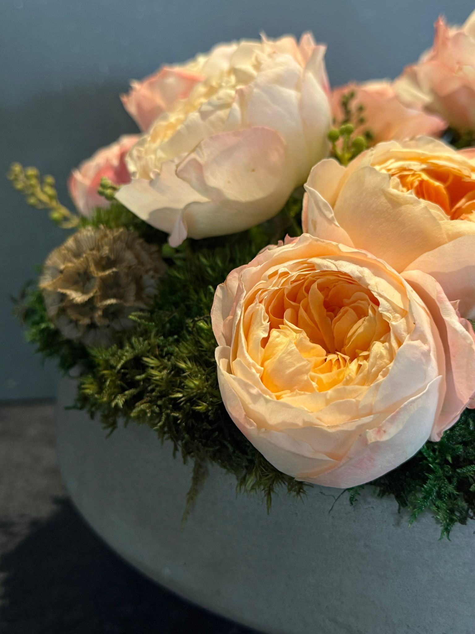 The Adeline - Peach Akito Garden Roses and Preserved Moss Flower Arrangement