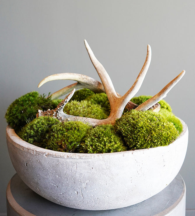 Gravel Florals and Curiosities Purveyor of Timeless Elegance GRAVEL